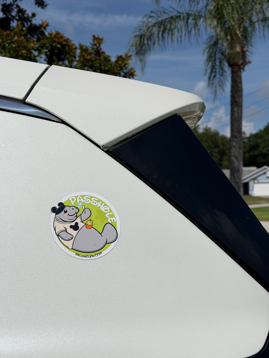Passhole Manatee Magnet